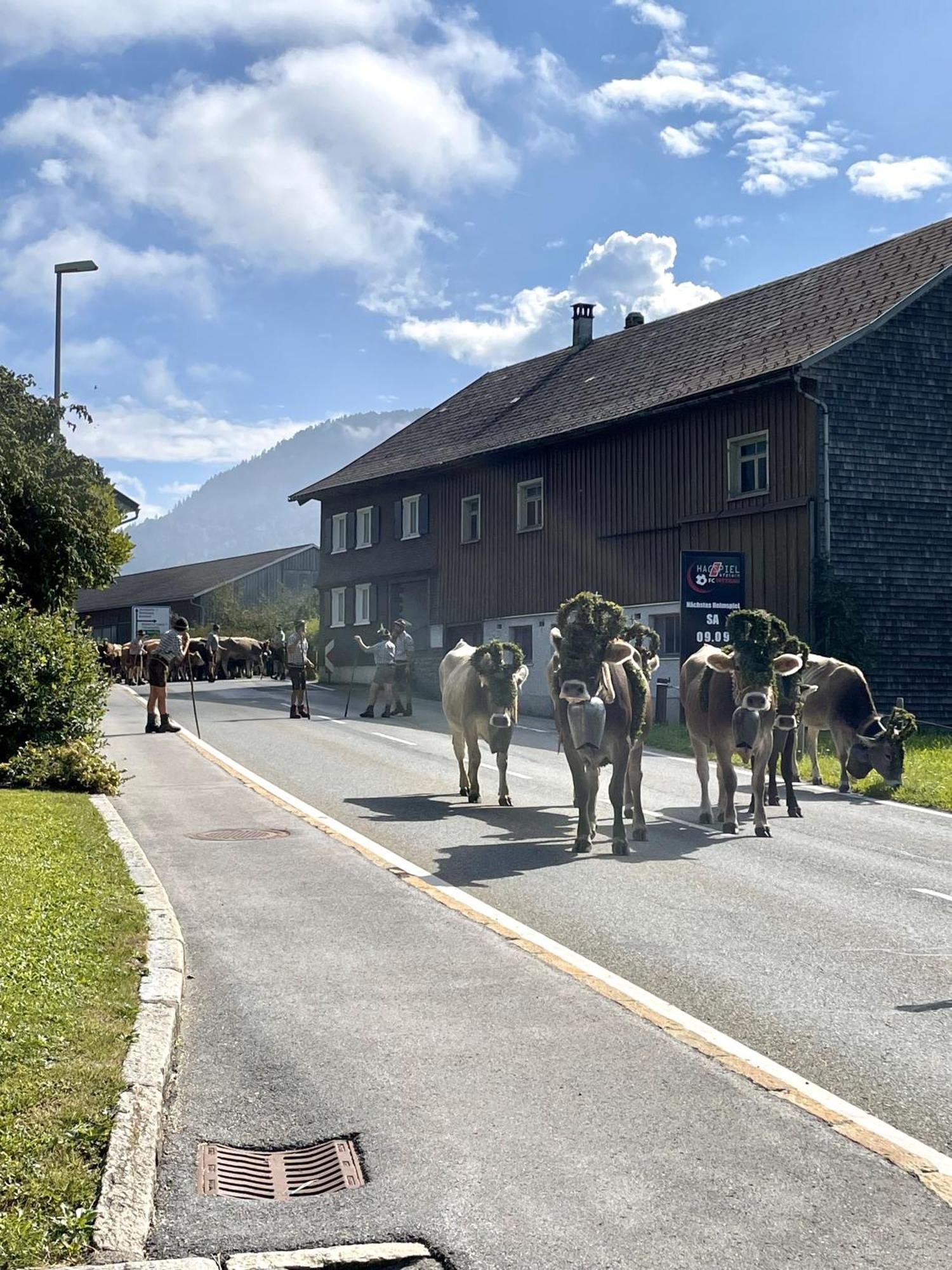 Zu Gast Bei Den Hagspiels Appartement Hittisau Buitenkant foto